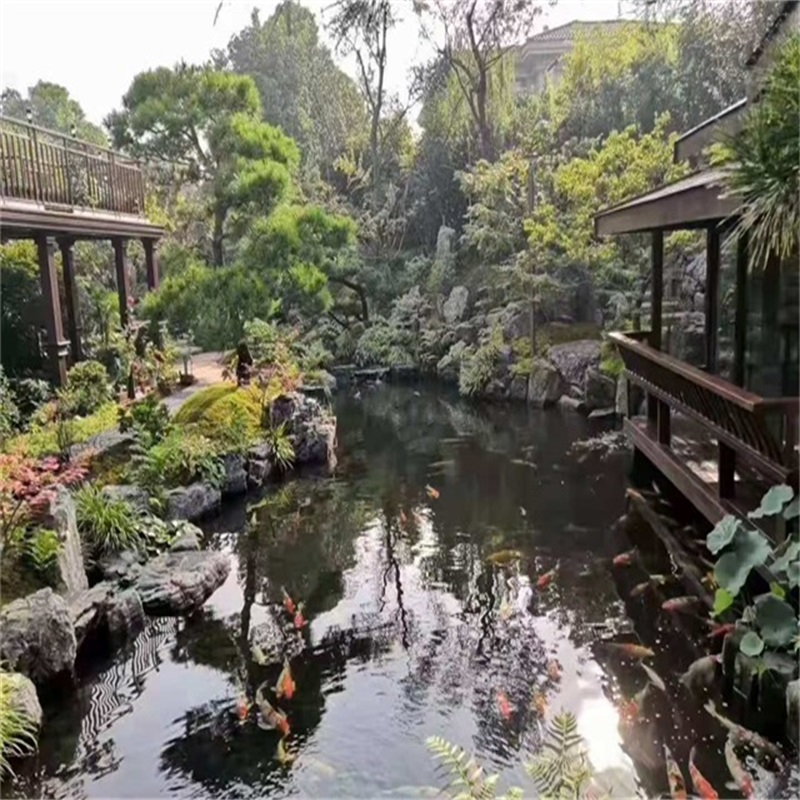 沭阳小庭院假山鱼池